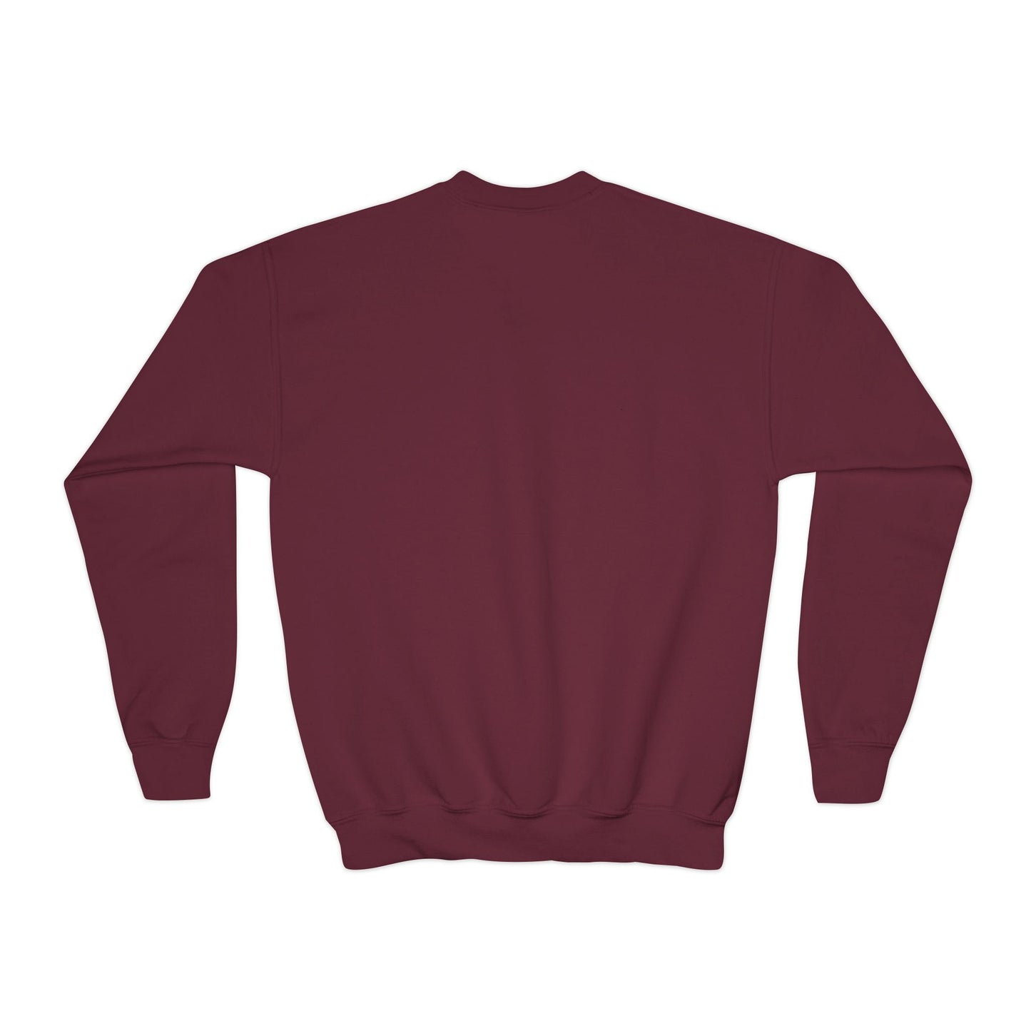 Youth JESUS sweatshirt