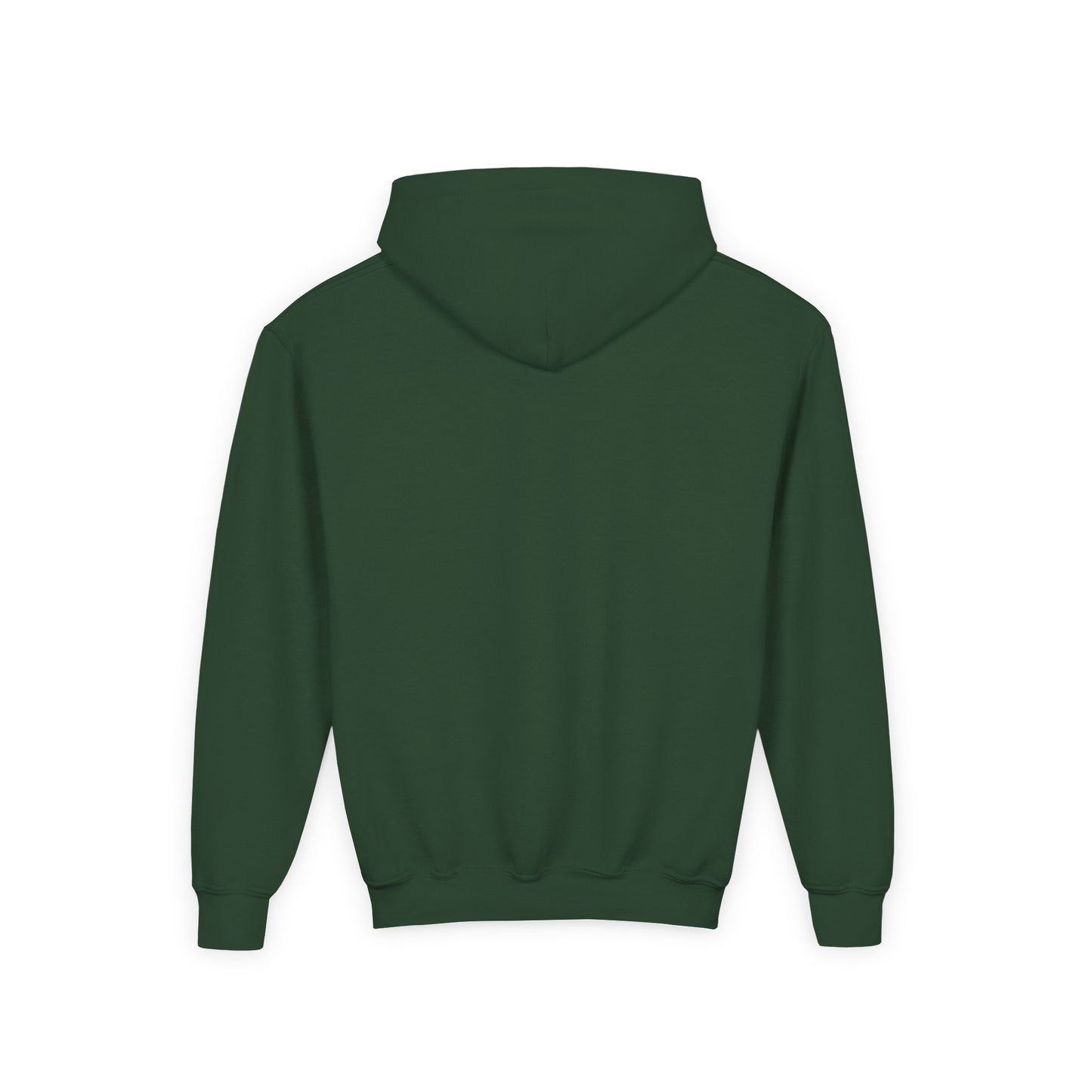 Youth Hoodie — "The Enemy Flees in Your House" Graphic Horse Pullover