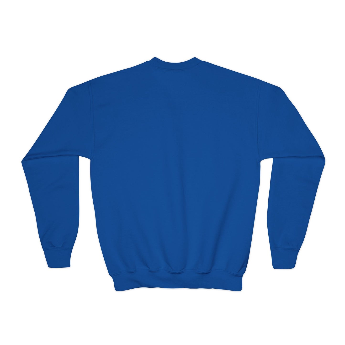 Youth JESUS sweatshirt